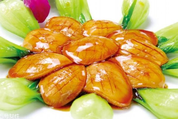 鲍鱼产自什么地方,鲍鱼出产地是哪里 鲍鱼产自什么地方,鲍鱼出产地是哪里