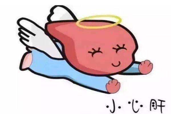 肝不好要怎么办,肝不好咋整