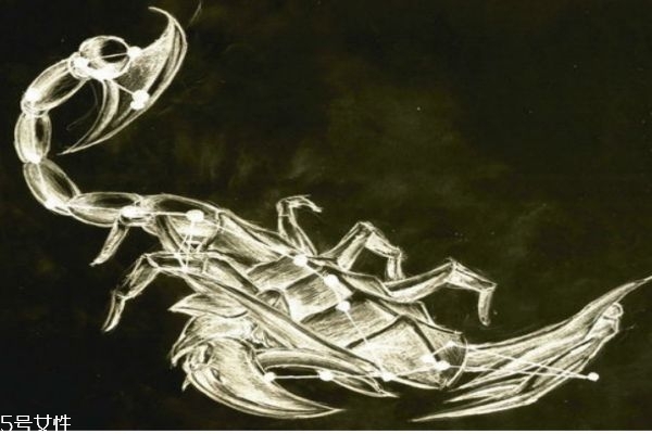 如何和天蝎座成为朋友,如何成为天蝎座的好朋友