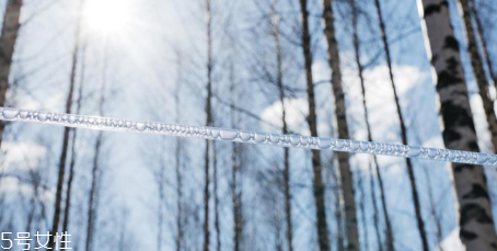 桦树汁怎么喝,桦树汁能喝吗