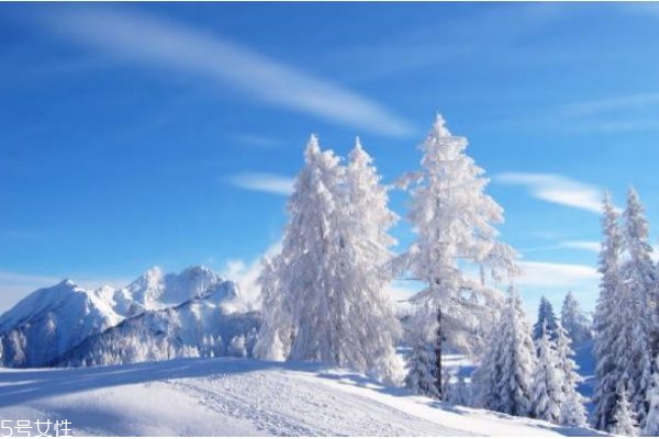 冬天手臂冷是什么原因,冬天手臂怕冷是什么原因