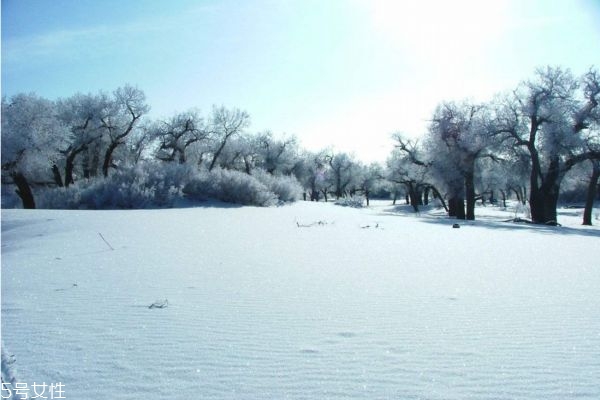肾结石畏寒怕冷怎么办,肾虚畏寒怕冷怎么办 肾结石畏寒怕冷怎么办,肾虚畏寒怕冷怎么办