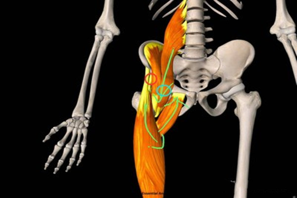 锻炼腹直肌的方法,做完腹直肌的注意事项