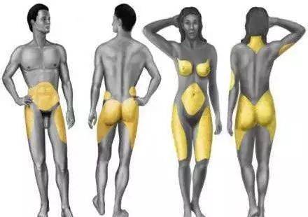 脂肪燃烧的表现,怎么快速燃烧脂肪