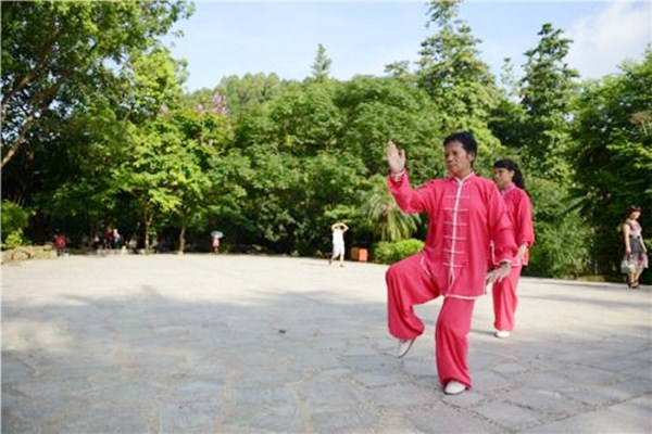 太极拳有什么特点,太极拳有什么特点空中课堂