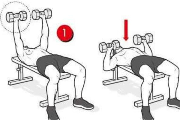 哑铃平板卧推动作要领,平板哑铃卧推标准动作要领 哑铃平板卧推动作要领,平板哑铃卧推标准动作要领