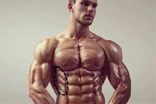 鲨鱼线练什么动作,练鲨鱼线的动作有哪些 鲨鱼线练什么动作,练鲨鱼线的动作有哪些