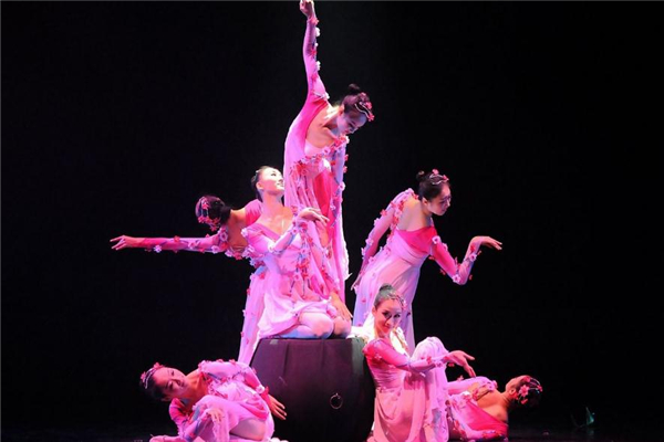 中国舞的舞种,中国舞是什么舞蹈