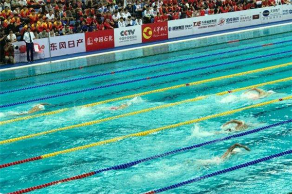 自由泳和仰泳的区别,仰泳和自由泳哪个容易