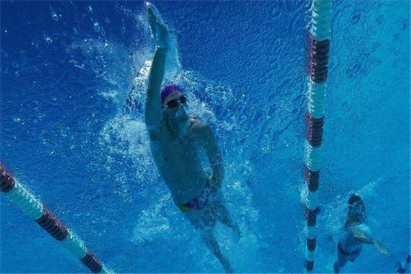 自由泳怎么游不累,自由泳怎么游不累视频
