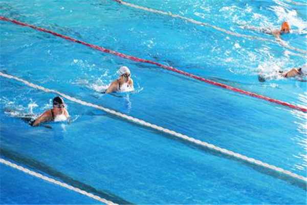 蛙泳腰痛是什么原因,蛙泳为什么腰会酸痛