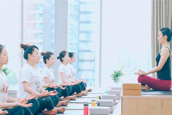 流瑜伽哈他瑜伽的区别,哈他瑜伽和流瑜伽哪个适合初学者