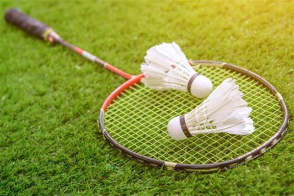 打羽毛球和跑步哪个好,打羽毛球好还是跑步好