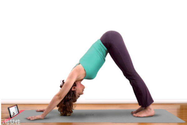 初学者瑜伽垫怎么选择,瑜伽初学者用什么垫 初学者瑜伽垫怎么选择,瑜伽初学者用什么垫