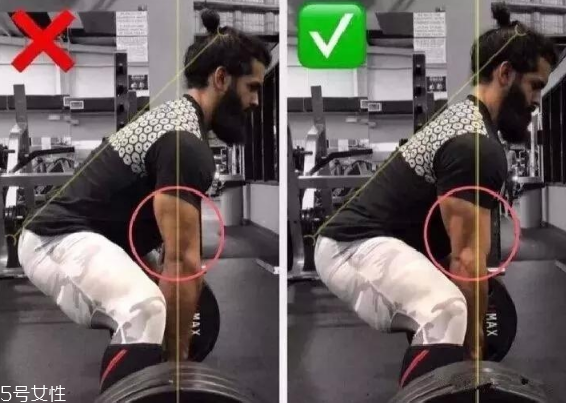 新手健身动作不标准怎么办,新手健身问题集锦