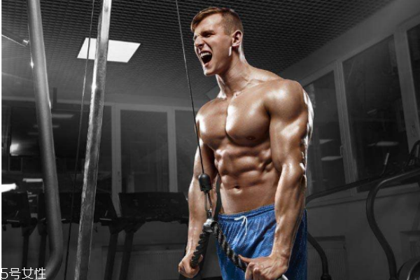 健身房健身流程,健身房锻炼顺序