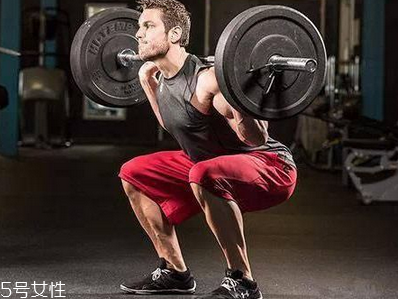 深蹲后怎么拉伸,做了深蹲后怎么拉伸放松