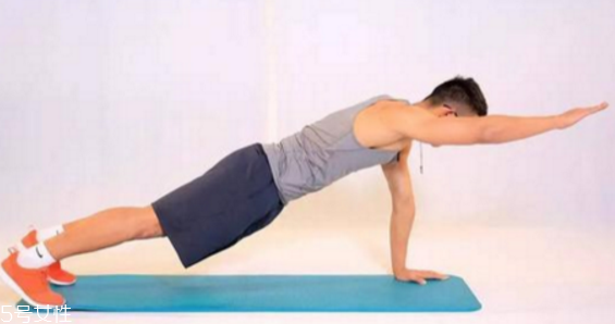 平板支撑的正确方式,平板支撑的要点