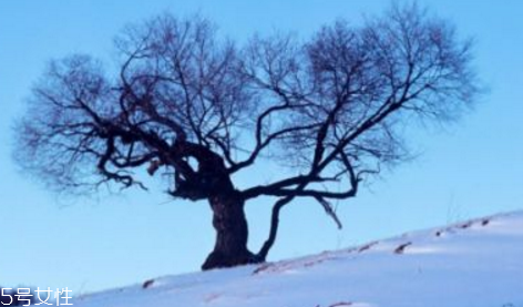 三九天养生有何好处,三九天养生的好处