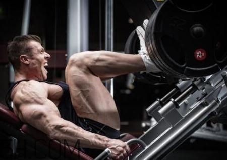 腿举和深蹲哪个好,腿举和深蹲哪个效果好 腿举和深蹲哪个好,腿举和深蹲哪个效果好