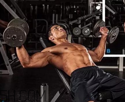 哑铃飞鸟怎么呼吸,哑铃飞鸟正确姿势 哑铃飞鸟怎么呼吸,哑铃飞鸟正确姿势