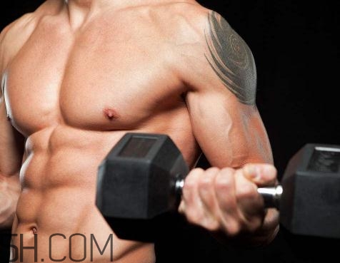 哑铃弯举和杠铃弯举的区别,哑铃弯举和杠铃弯举哪个好