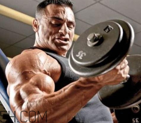 哑铃弯举正确方法,哑铃弯举正确方法的解析