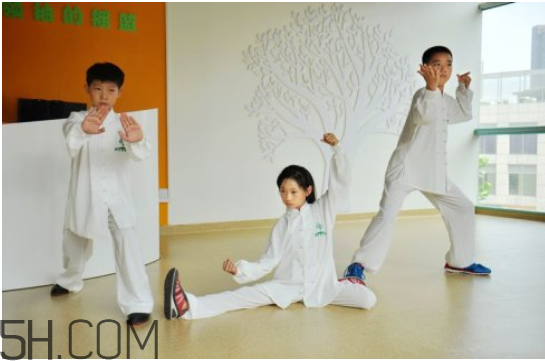 小孩练太极拳的好处,小孩练太极的好处图片