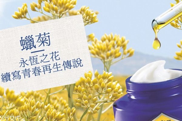 欧舒丹蜡菊面膜怎么样,欧舒丹蜡菊面膜使用方法 欧舒丹蜡菊面膜怎么样,欧舒丹蜡菊面膜使用方法