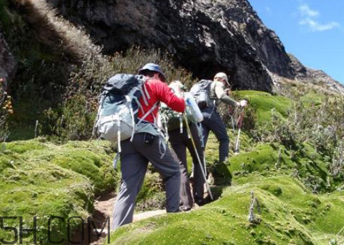 如何防止爬山后腿疼,爬山之后怎么防止腿疼 如何防止爬山后腿疼,爬山之后怎么防止腿疼