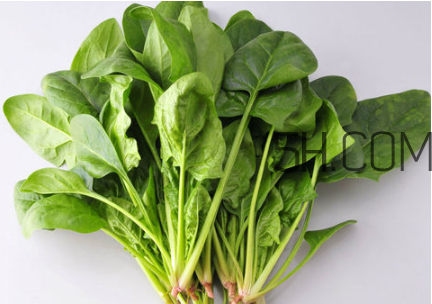 减肥减脂餐食谱大全,营养减肥餐食谱大全