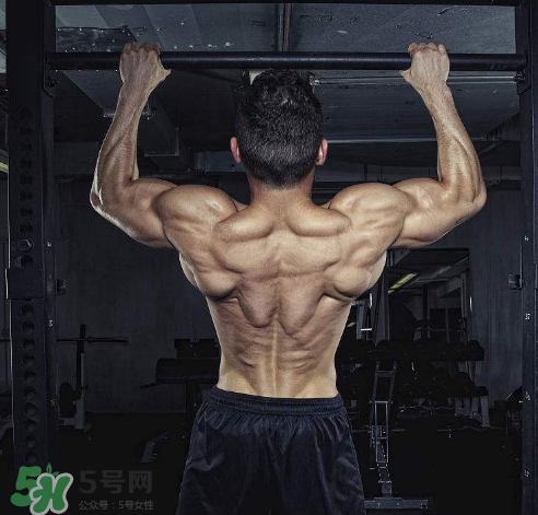 引体向上的好处和坏处,如何训练引体向上