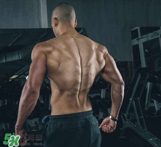 为什么要练背部肌肉,为什么要练背