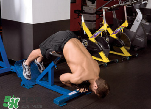 罗马椅挺身动作要领,罗马椅挺身的正确方法