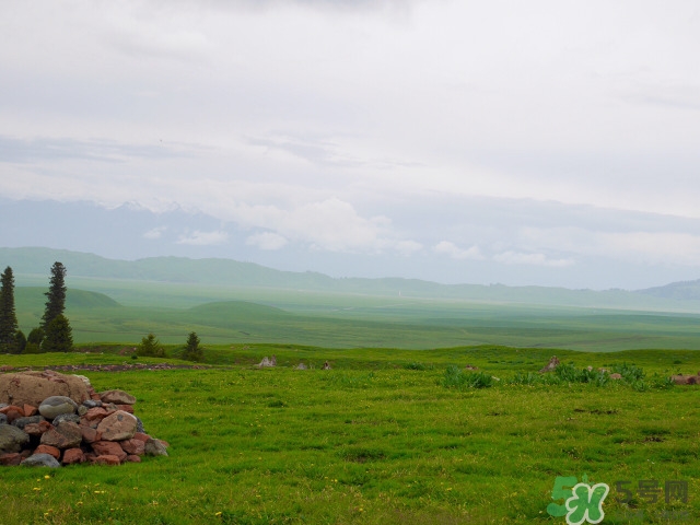 现在新疆治安如何,新疆社会治安怎么样