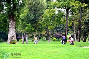 户外运动的注意事项有哪些,户外运动的注意事项 户外运动的注意事项有哪些,户外运动的注意事项