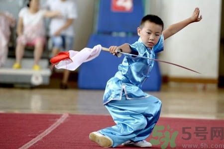 课题研究专家指导意见,专家指导意见