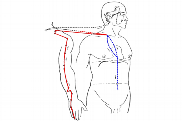 眼袋和鱼尾纹怎么消除简单方法,鱼尾纹法令纹怎么去除