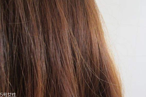 洗头先用护发素好吗,洗头发先用护发素好吗