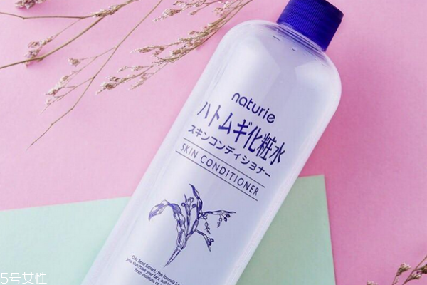 薏仁水会长闭口吗,薏仁水用多了起闭口