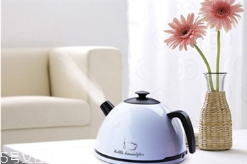 加湿器里面可以放精油吗?,加湿器里面能放精油吗