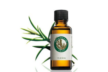 茶树精油什么牌子的好,茶树精油哪个牌子好用