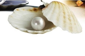 哪个牌子的珍珠粉好用纯天然,珍珠粉哪家牌子的最好