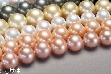 珍珠粉在哪里可以买到,珍珠粉哪里买到正品