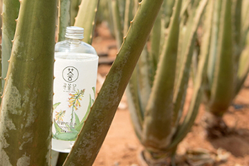 寻荟记芦荟水怎么样知乎,寻荟记的芦荟水,怎么样