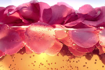 玫瑰水的功效和作用护肤品,玫瑰水的功效和作用 玫瑰水的功效和作用护肤品,玫瑰水的功效和作用