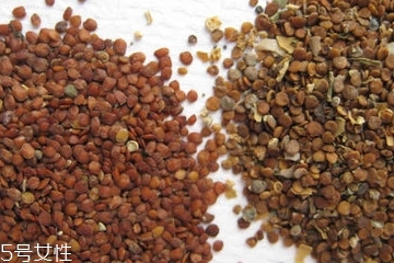 海藻面膜是清洁面膜吗?,海藻面膜是清洁面膜还是补水面膜