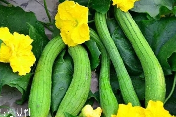 丝瓜水可以湿敷吗,丝瓜水湿敷效果怎么样 丝瓜水可以湿敷吗,丝瓜水湿敷效果怎么样