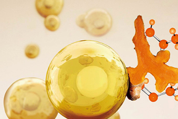 娇韵诗双萃精华免税店价格,娇韵诗双萃精华真假辨别 娇韵诗双萃精华免税店价格,娇韵诗双萃精华真假辨别