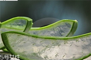 芦荟胶如何使用效果最好,芦荟胶怎么用的